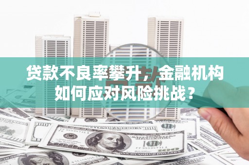 潍坊贷款不良率攀升，金融机构如何应对风险挑战？