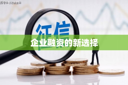 潍坊企业融资的新选择