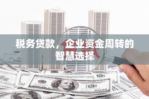 潍坊税务贷款，企业资金周转的智慧选择