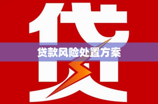 潍坊贷款风险处置方案