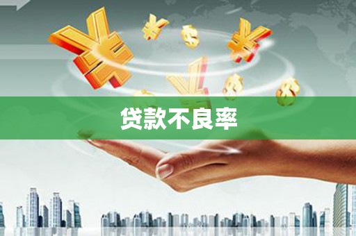 潍坊贷款不良率