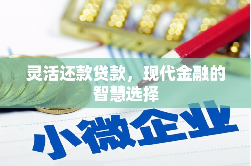 潍坊灵活还款贷款，现代金融的智慧选择