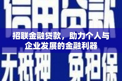 潍坊招联金融贷款，助力个人与企业发展的金融利器