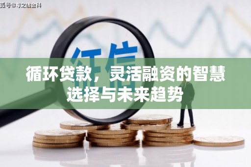 潍坊循环贷款，灵活融资的智慧选择与未来趋势