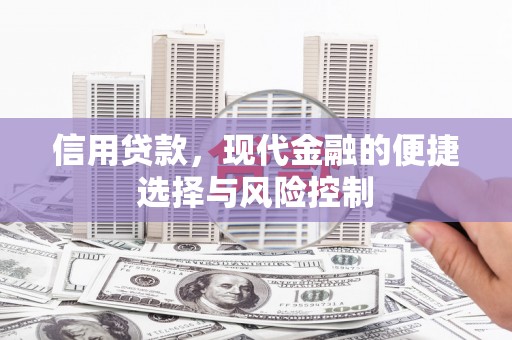 潍坊信用贷款，现代金融的便捷选择与风险控制