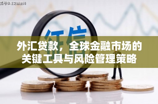 潍坊外汇贷款，全球金融市场的关键工具与风险管理策略