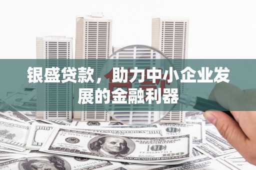 潍坊银盛贷款，助力中小企业发展的金融利器