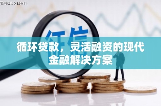 潍坊循环贷款，灵活融资的现代金融解决方案