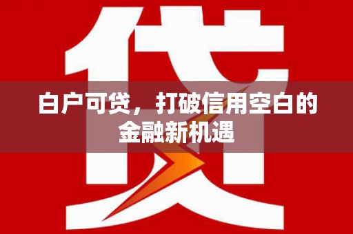 潍坊白户可贷，打破信用空白的金融新机遇