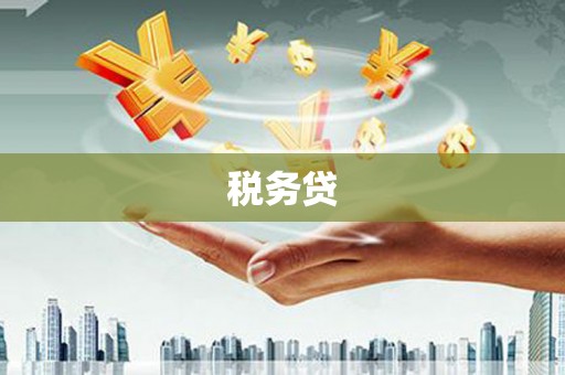 潍坊税务贷
