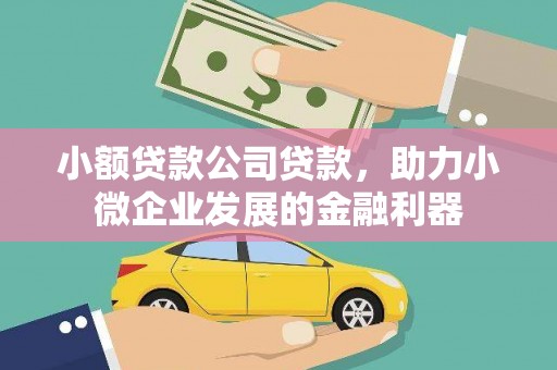潍坊小额贷款公司贷款，助力小微企业发展的金融利器