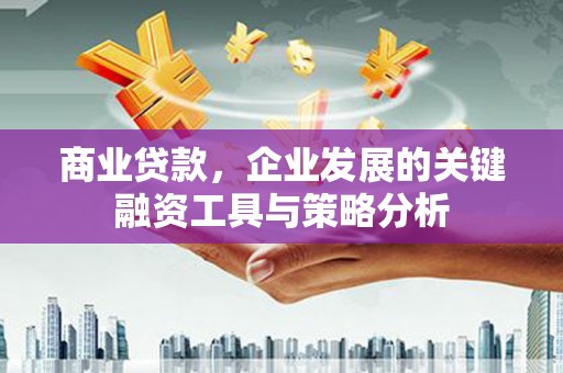 潍坊商业贷款，企业发展的关键融资工具与策略分析