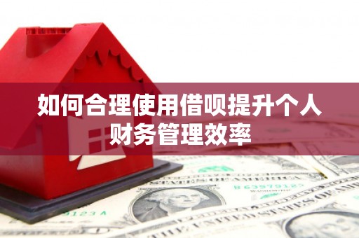 潍坊如何合理使用借呗提升个人财务管理效率