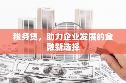 潍坊税务贷，助力企业发展的金融新选择