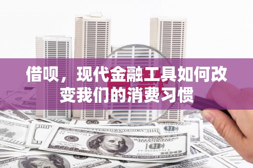 潍坊借呗，现代金融工具如何改变我们的消费习惯