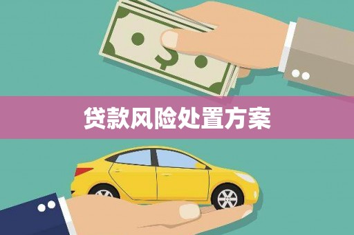 潍坊贷款风险处置方案
