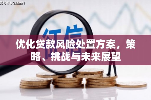 潍坊优化贷款风险处置方案，策略、挑战与未来展望