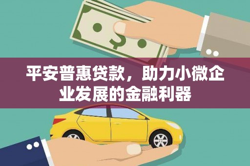 潍坊平安普惠贷款，助力小微企业发展的金融利器