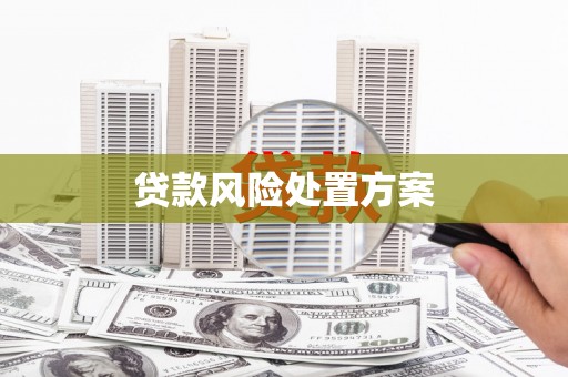 潍坊贷款风险处置方案