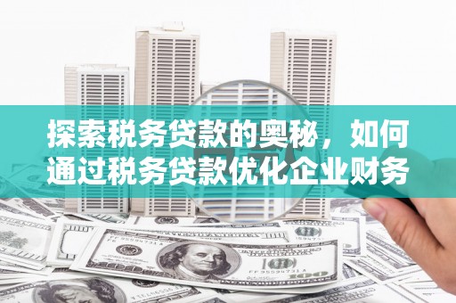 潍坊探索税务贷款的奥秘，如何通过税务贷款优化企业财务