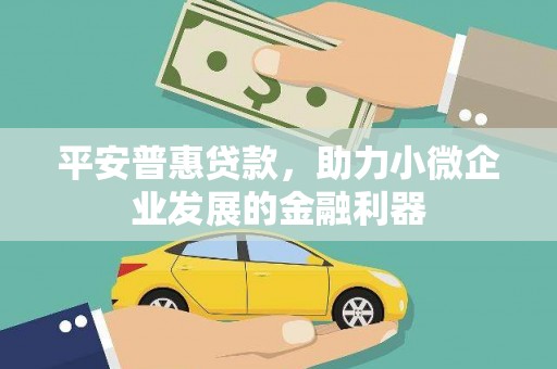 潍坊平安普惠贷款，助力小微企业发展的金融利器