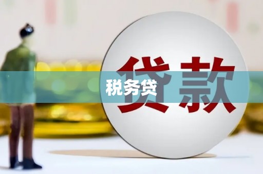 潍坊税务贷