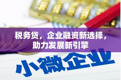 潍坊税务贷，企业融资新选择，助力发展新引擎