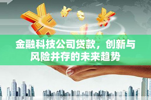 潍坊金融科技公司贷款，创新与风险并存的未来趋势