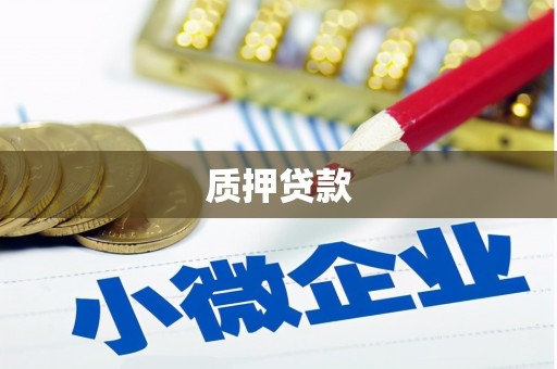 潍坊质押贷款