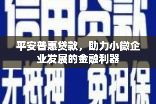 潍坊平安普惠贷款，助力小微企业发展的金融利器
