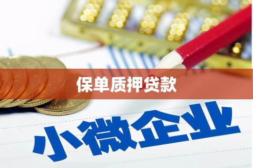 潍坊保单质押贷款
