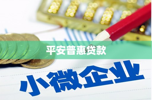 潍坊平安普惠贷款