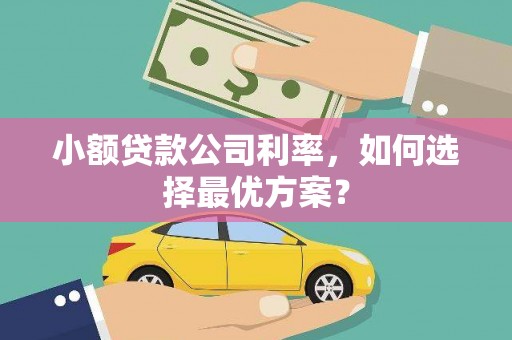 潍坊小额贷款公司利率，如何选择最优方案？