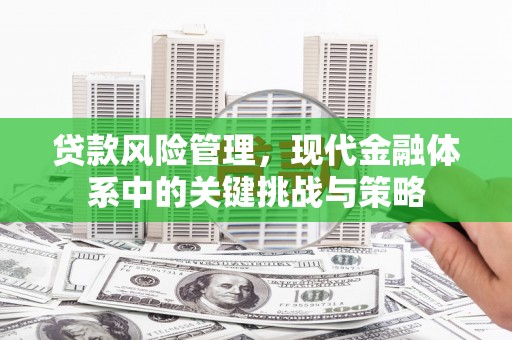 潍坊贷款风险管理，现代金融体系中的关键挑战与策略