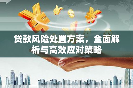 潍坊贷款风险处置方案，全面解析与高效应对策略