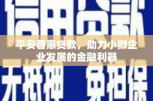 潍坊平安普惠贷款，助力小微企业发展的金融利器