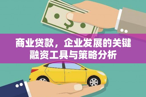 潍坊商业贷款，企业发展的关键融资工具与策略分析