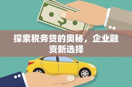 潍坊探索税务贷的奥秘，企业融资新选择