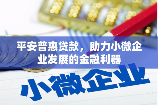 潍坊平安普惠贷款，助力小微企业发展的金融利器