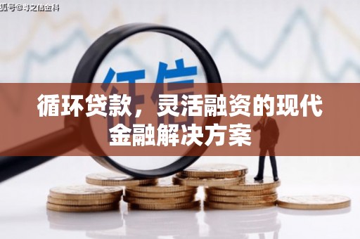 潍坊循环贷款，灵活融资的现代金融解决方案