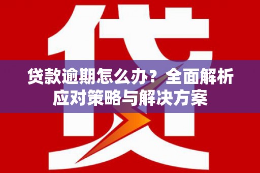 潍坊贷款逾期怎么办？全面解析应对策略与解决方案