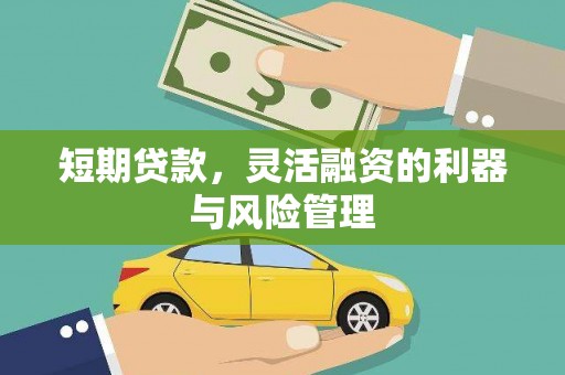 潍坊短期贷款，灵活融资的利器与风险管理