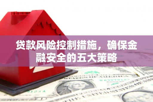 潍坊贷款风险控制措施，确保金融安全的五大策略