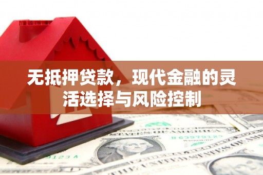 潍坊无抵押贷款，现代金融的灵活选择与风险控制