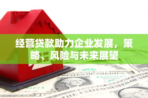 潍坊经营贷款助力企业发展，策略、风险与未来展望