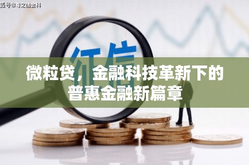 潍坊微粒贷，金融科技革新下的普惠金融新篇章