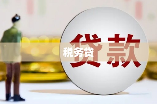 潍坊税务贷