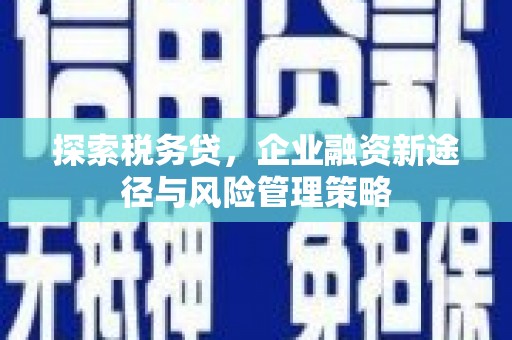 潍坊探索税务贷，企业融资新途径与风险管理策略