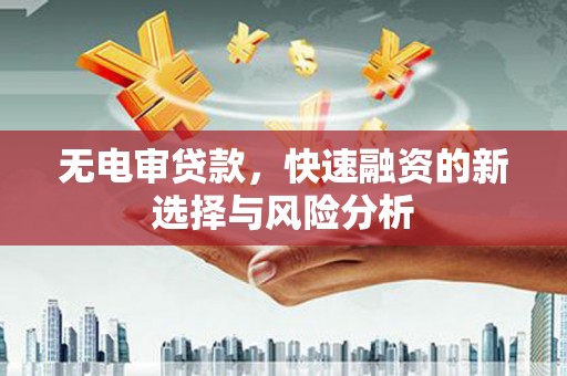 潍坊无电审贷款，快速融资的新选择与风险分析