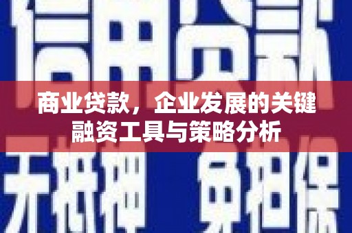 潍坊商业贷款，企业发展的关键融资工具与策略分析